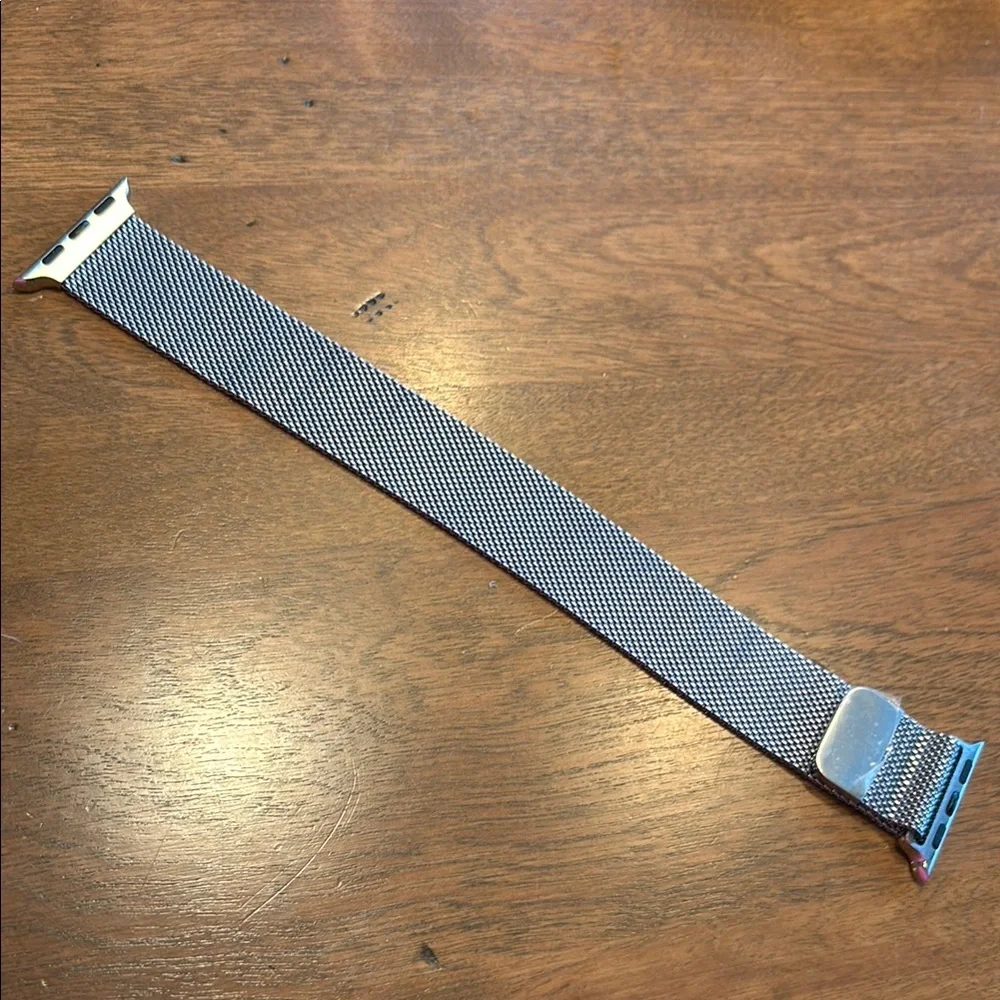 Silver Mesh Watch Band